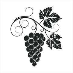 Elegant Grape Vine Silhouette for Wine or Food Related Designs