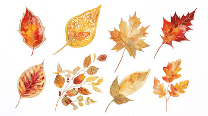 Autumn leaves in warm colors, arranged on a white background.