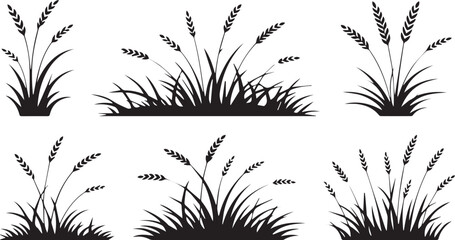 Collection of wheat stalks and grass silhouettes isolated on white background