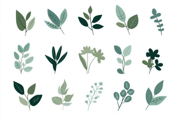 Watercolor Botanical Leaf and Plant  Set