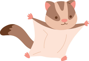 Cute Sugar glider nocturnal animal

