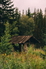 A rustic wooden shelter surrounded by dense green trees and tall grass. 