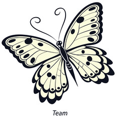 Abstract Line Art Butterfly Vector with Red and Blue Accents

