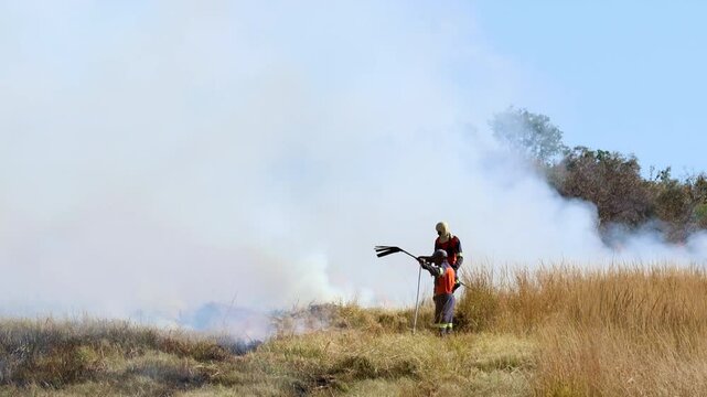 Farm workers on fireline use flappers to control fire spread in field, zoom out