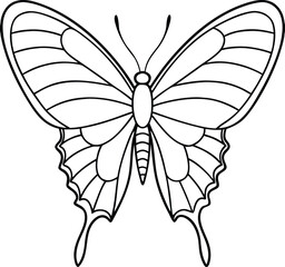 Outline vector drawing of a male Great Mormon butterfly with wings spread, isolated on white background, Male Great Mormon butterfly outline, Great Mormon butterfly line vector, Butterfly top view 