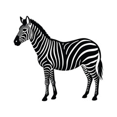 Obraz premium Adobe Illustrator Artwork