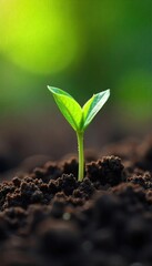 Fototapeta premium Tiny Sprout Breaking Through Soil A Symbol of Growth, Resilience, and Natures Power