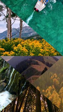 Vertical Multi Screen Nature Split Opener