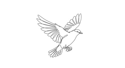 Fototapeta premium Bird in Mid-Flight Line Art