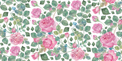 Elegant watercolor rose pattern with soft pink blooms and lush green foliage design