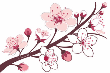 Delicate cherry blossom branch illustration with transparent background suitable for diverse design applications and decorative purposes