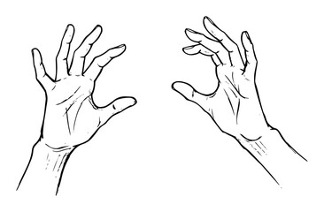 human hands reaching gesture line art