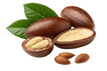 Obraz premium Isolated Baru Nuts PNG