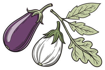  Aubergine, eggplant, purple eggplant, white eggplant, indian eggplant, thai eggplant, chinese eggplant, realistic vegetables, detailed illustration, high quality, 4k, photorealistic