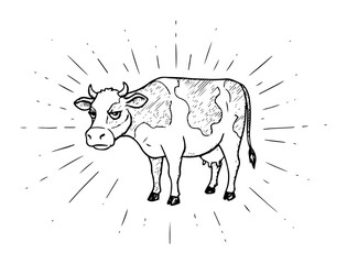 glowing cow with radiant lines vector sketch illustration