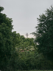 Electricity Pole Hidden Behind Green Trees in Village Landscape