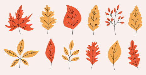 Fototapeta premium Set of hand draw colorful autumn leaves collection.