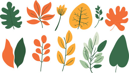 Colorful Autumn Leaves and Plants Illustration on White Background