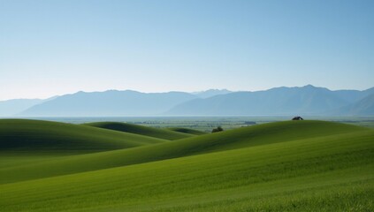 Fototapeta premium landscape with green field and blue sky