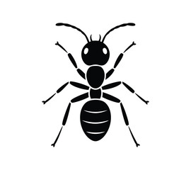 Fototapeta premium Isolated Black Ant Icons for Web and Print On White Background