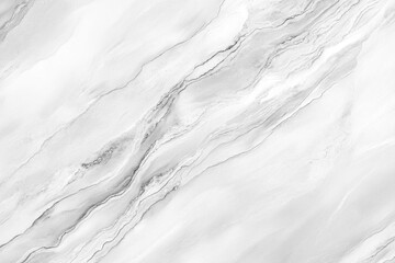 Obraz premium Explore the Delicate Veins of White Marble with Stone Texture Theme