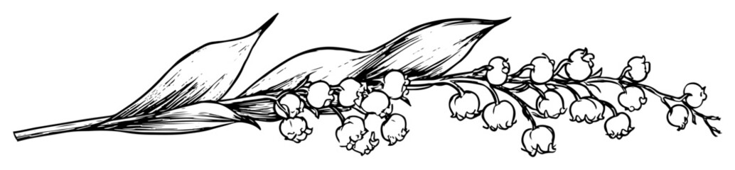 lily of the valley sprig line art vector illustration