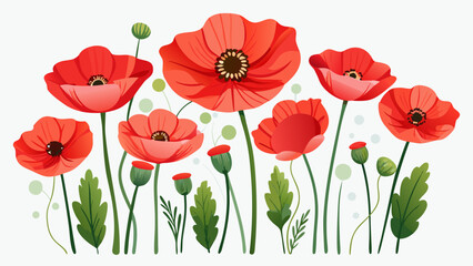 Obraz premium Vector illustration of a vibrant illustration of red poppies in full bloom, isolated on a white background