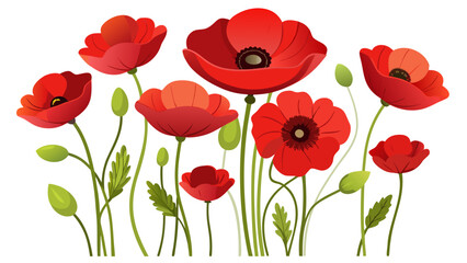Vector illustration of a vibrant collection of red poppies in full bloom, isolated on a white background