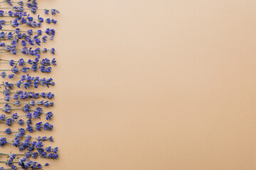 Dried lavender flowers laid on left side of pastel peach background