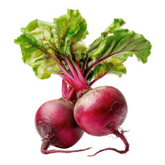Two vibrant crimson beets with lush green leaves