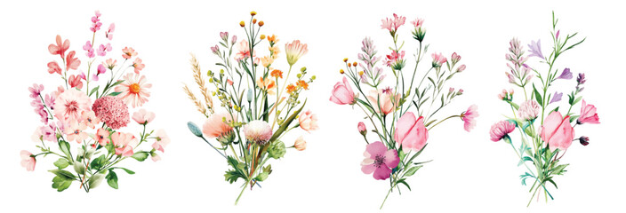 Bouquet Wild Field flowers Watercolor pink illustration Botanical collection of garden plants. Set different wild flowers, branches, herbs and leaves for bouquets and natural elements for cards