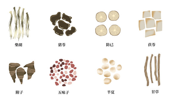 生薬一覧セット 生薬の材料イラスト素材 名称入り