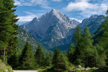 Fototapeta premium Mountain view framed by trees sunny day rocky peak dominant
