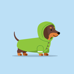 Flat vector illustration of puppy in raincoat with hood, bright colors, clean lines, minimal details, modern style on white background