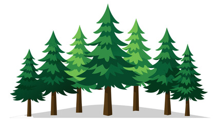 Fototapeta premium Vector illustration of group of evergreen trees isolated on white background