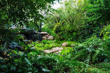 Natural tropical landscape filled with various green plants, ferns, and trees, surrounded by rocks and gentle light, perfect for concepts of biodiversity and sustainability.