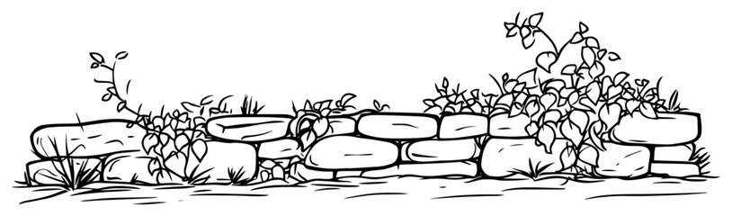 stone garden wall with vines line art vector illustration