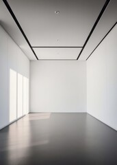 Fototapeta premium The interior design of a contemporary meeting room corridor features an empty white wall Empty room interior design architecture blank design room striking structures clean lines geometric shap