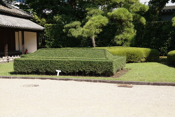 百人番所・植木