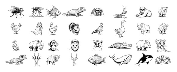 Obraz premium large collection of various animals sketches