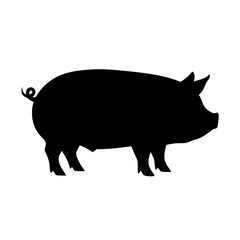 Fototapeta premium Vector silhouette of a bold black silhouette of a pig stands isolated on a clean white background