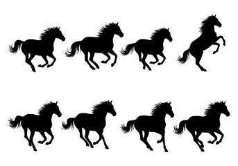 Fototapeta premium Vector silhouette of a collection of eight black horse silhouettes in various running poses isolated on a white background