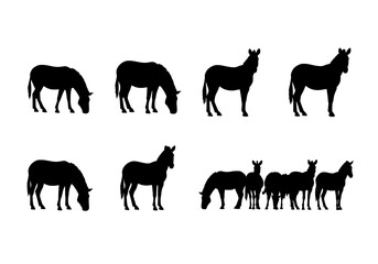 Vector silhouette of collection of horse silhouettes in various poses, isolated on a white background