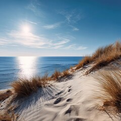 Sand dunes meeting a calm blue ocean under the sun