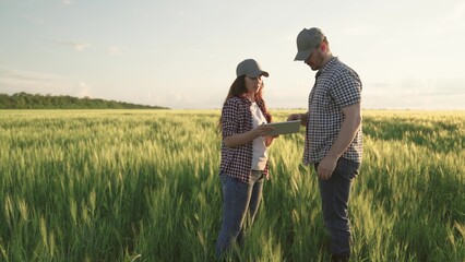 farmers shake hands on field with wheat, teamwork in agriculture, business for production of grain products, meeting of agronomists plantations land, looking into tablet while standing soil with rye.