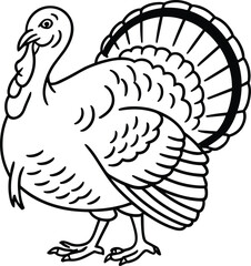 Simple Turkey Line Art – Farm Bird Outline for Autumn Decor and Coloring