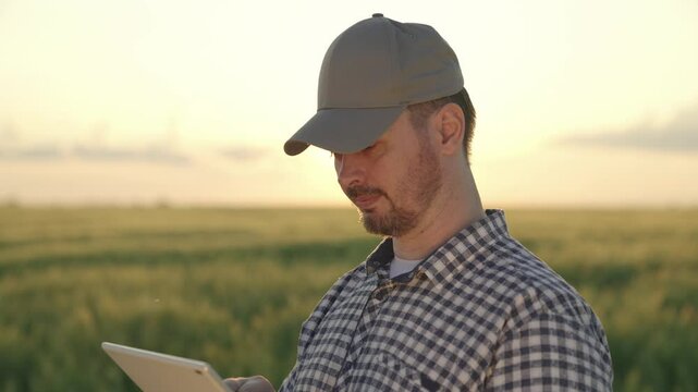 farmer with tablet smiling green wheat field, agriculture, green field seedlings farm, agricultural land of an agronomist soil land, time plant and harvest, gardener vegetable garden, worker at dacha