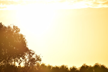sunset or sunrise with clouds, sky and golden rays. © MARIA