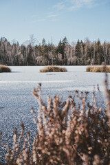 Ried Bad Waldsee
