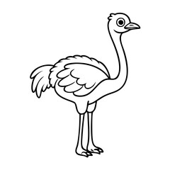 Ostrich coloring page isolated for kid 